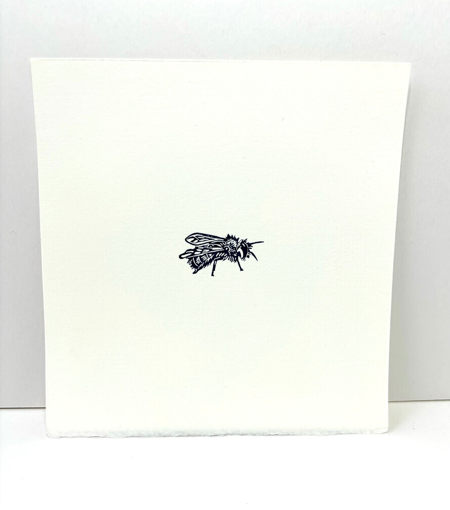 Super Seconds Festival listing: Bee linoprint