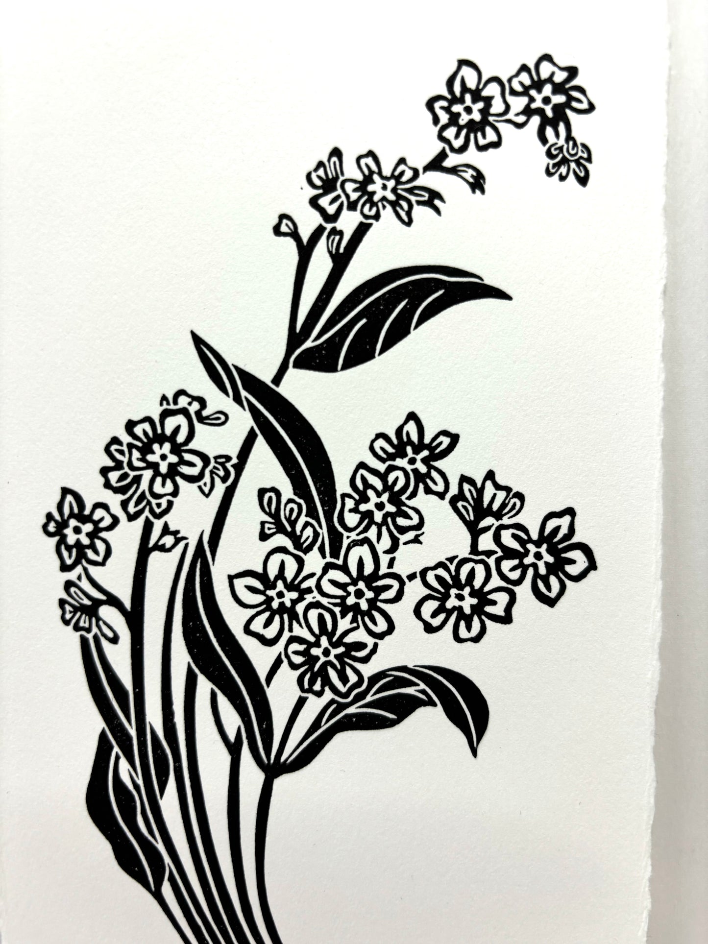 Myosotis Arvensis limited editon linoprint