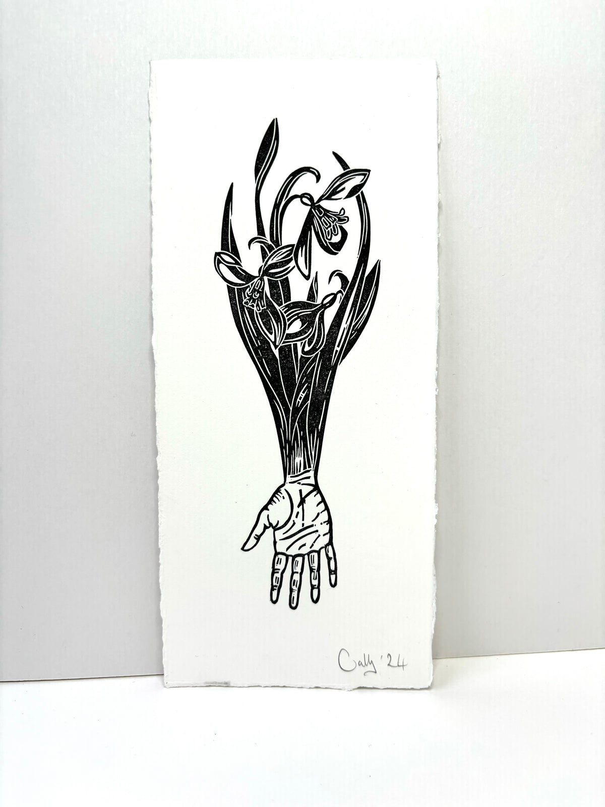 Super Seconds Festival listing: Galanthus linoprint.
