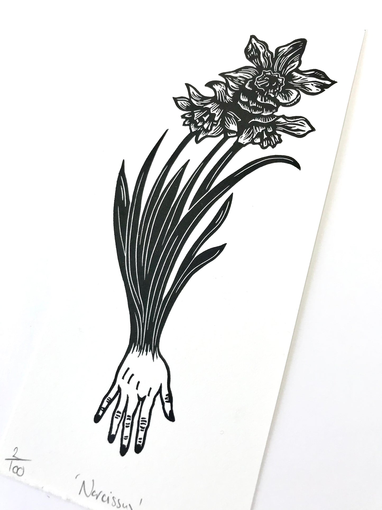 Narcissus limited edition linoprint