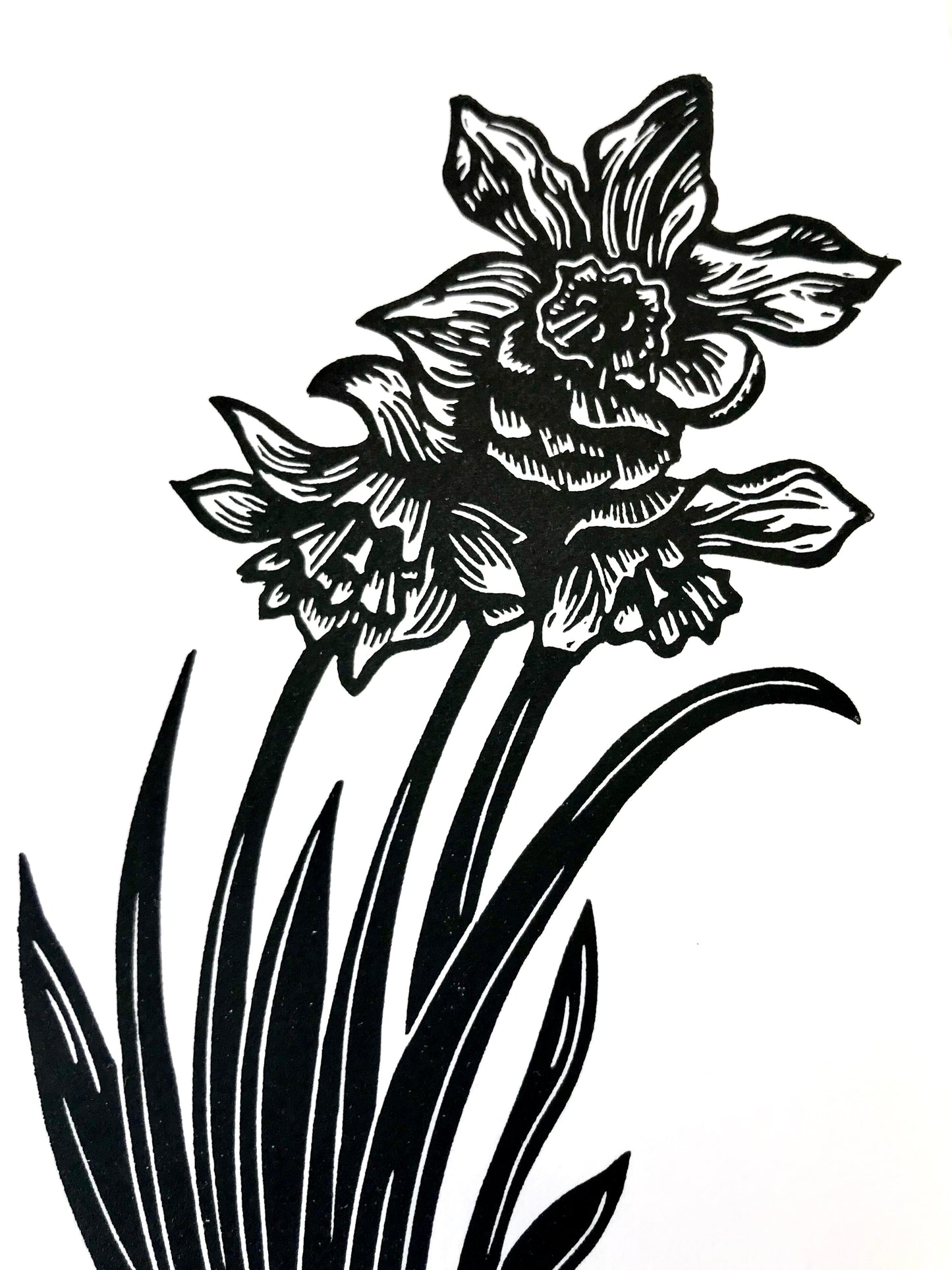 Narcissus limited edition linoprint