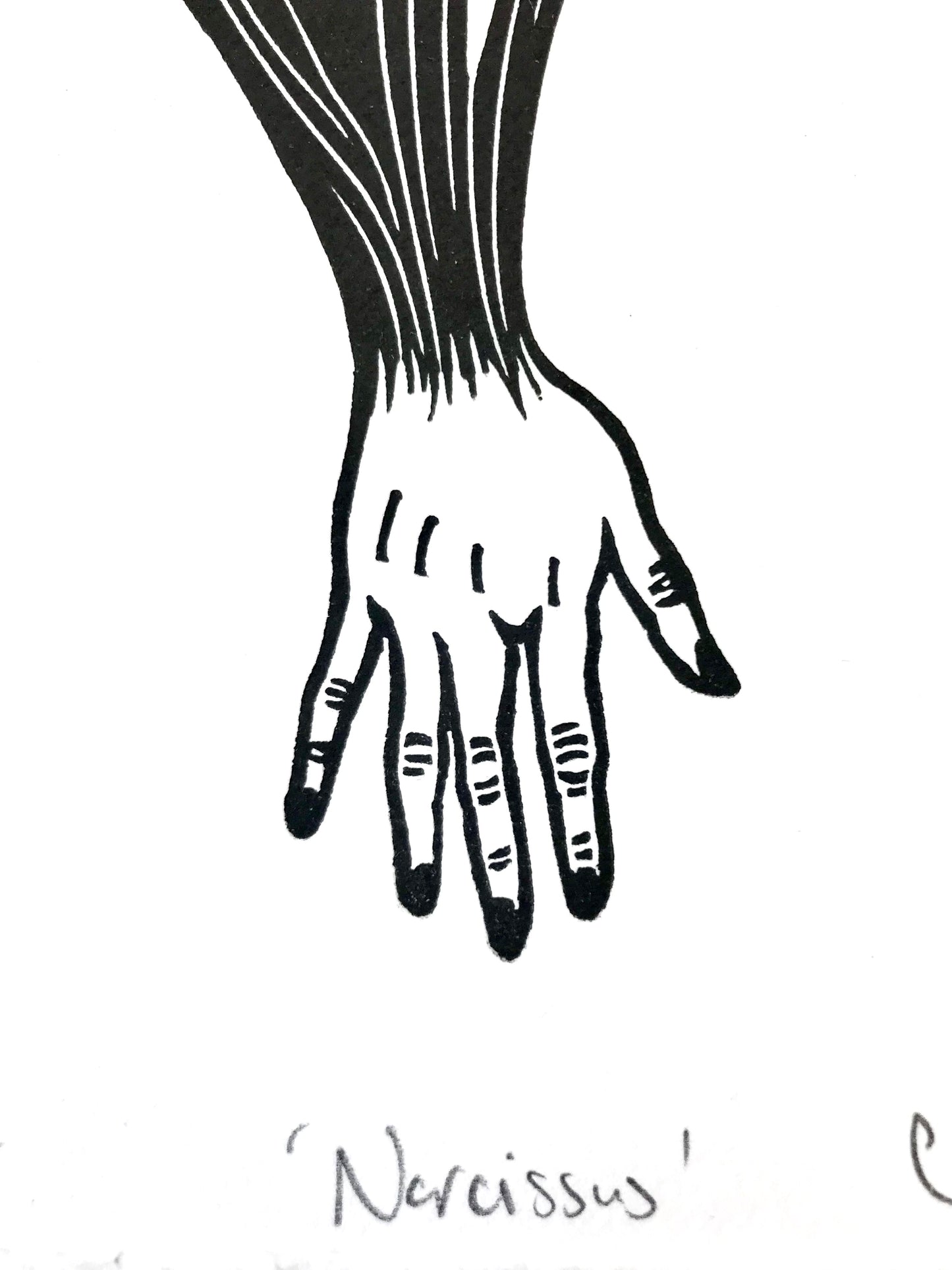 Narcissus limited edition linoprint