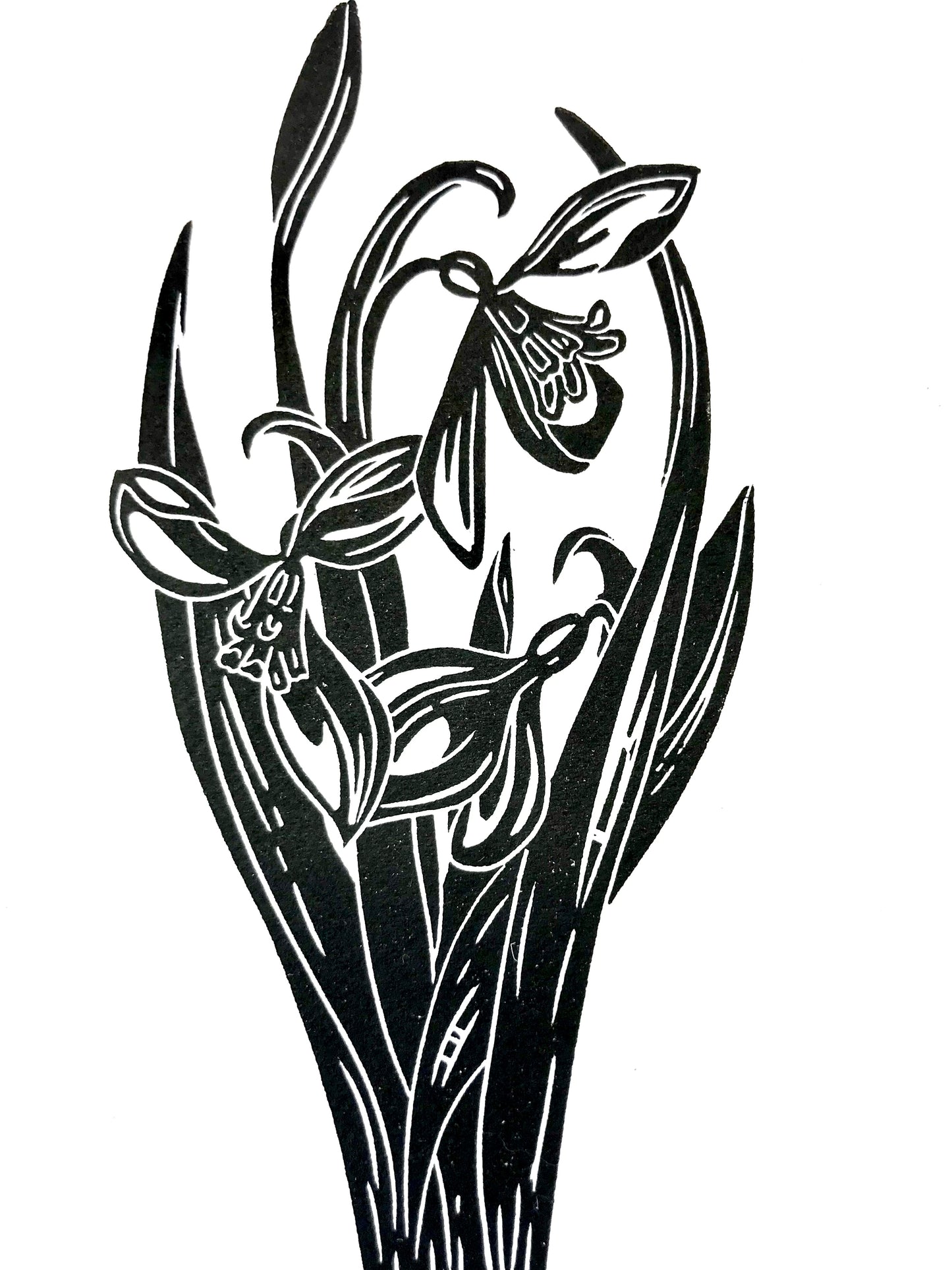 Galanthus limited edition linoprint