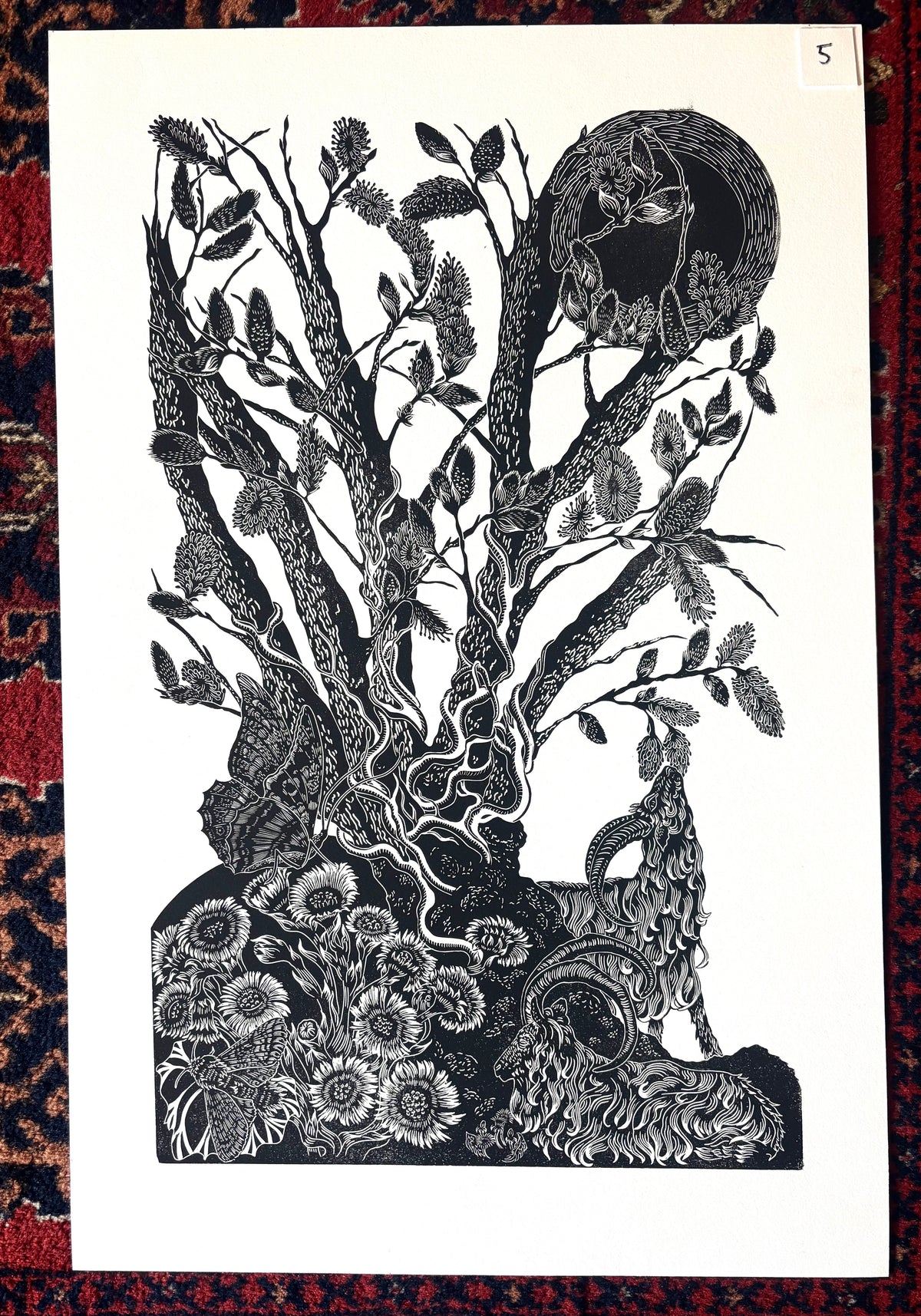 Super Seconds Festival listing: Salix Caprea No.5