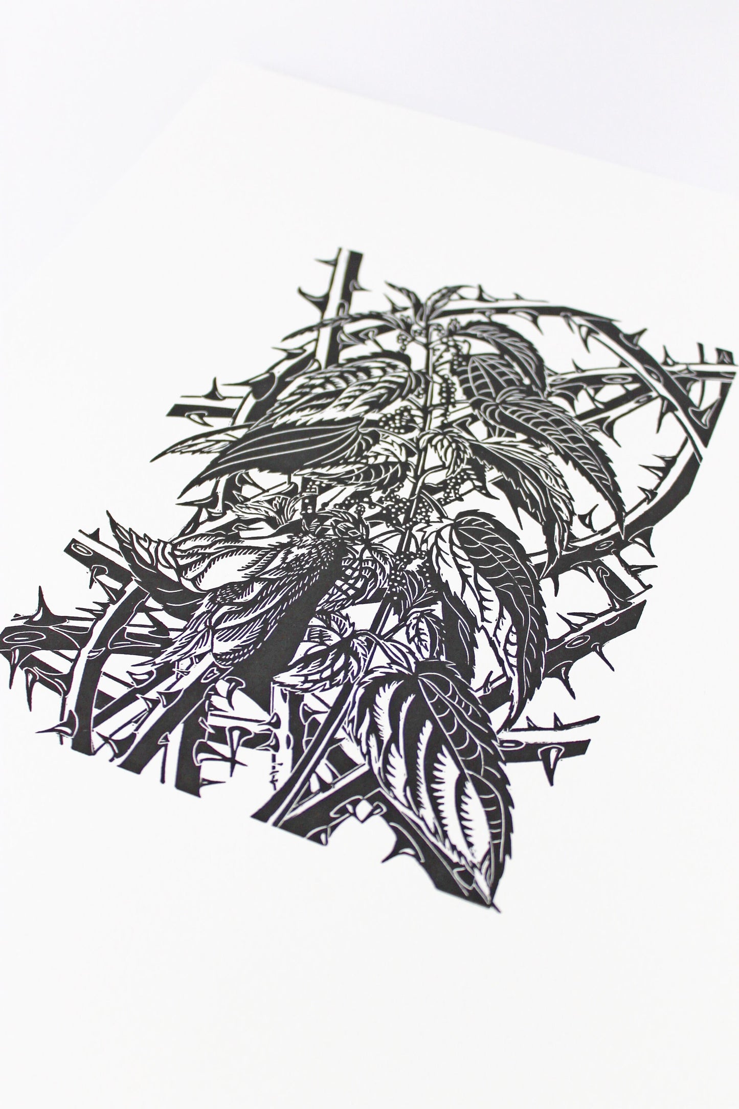 Ghost Moth limited edition linoprint