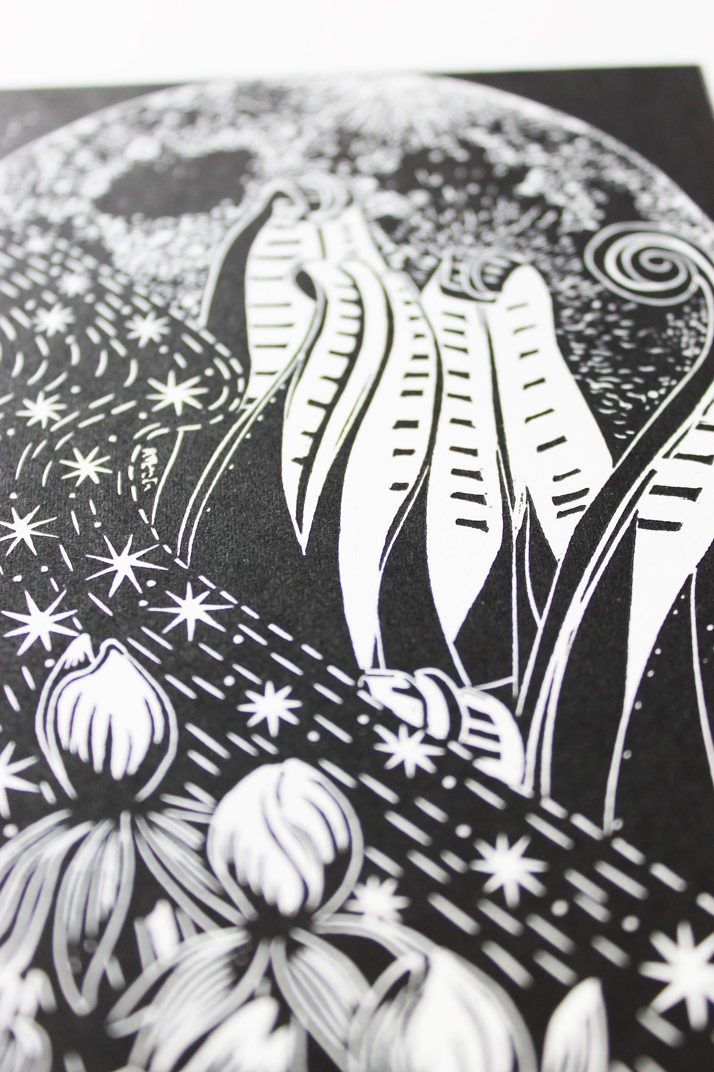 Anemones by Starlight limited edition linoprint