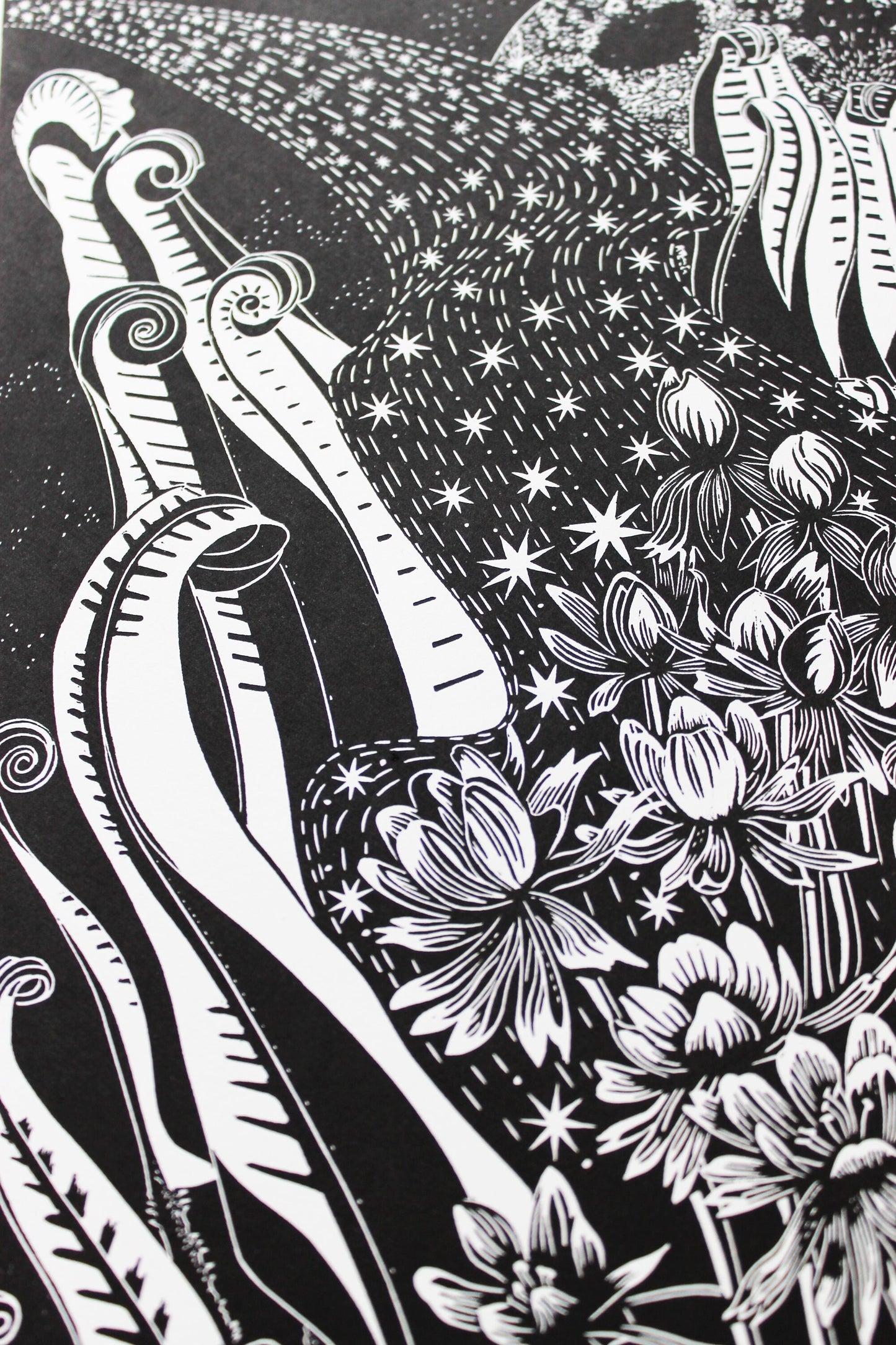 Anemones by Starlight limited edition linoprint