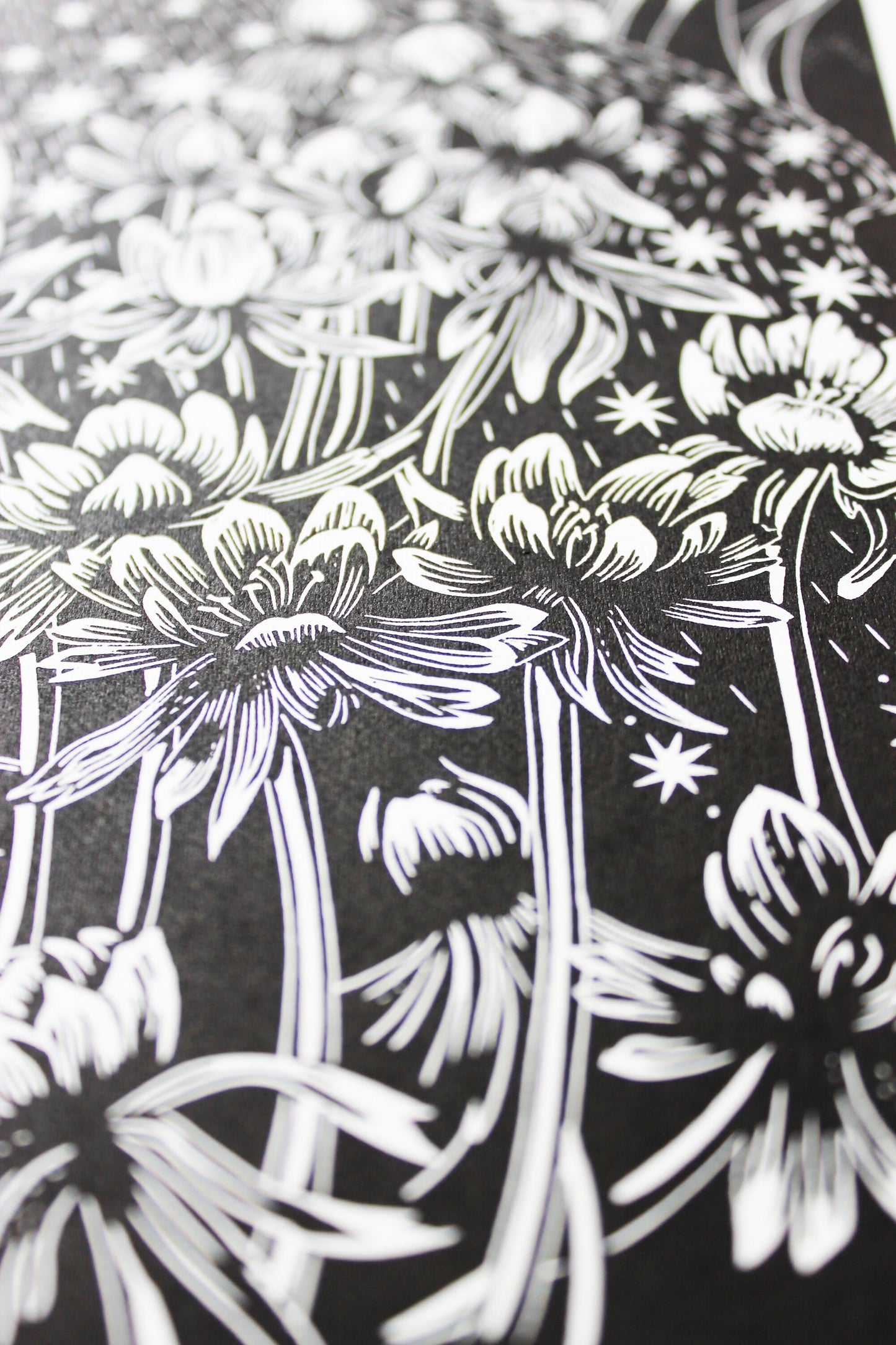 Anemones by Starlight limited edition linoprint