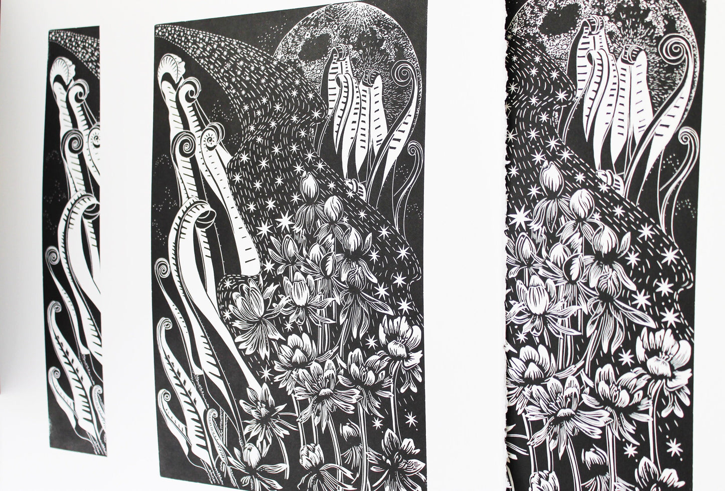 Anemones by Starlight limited edition linoprint