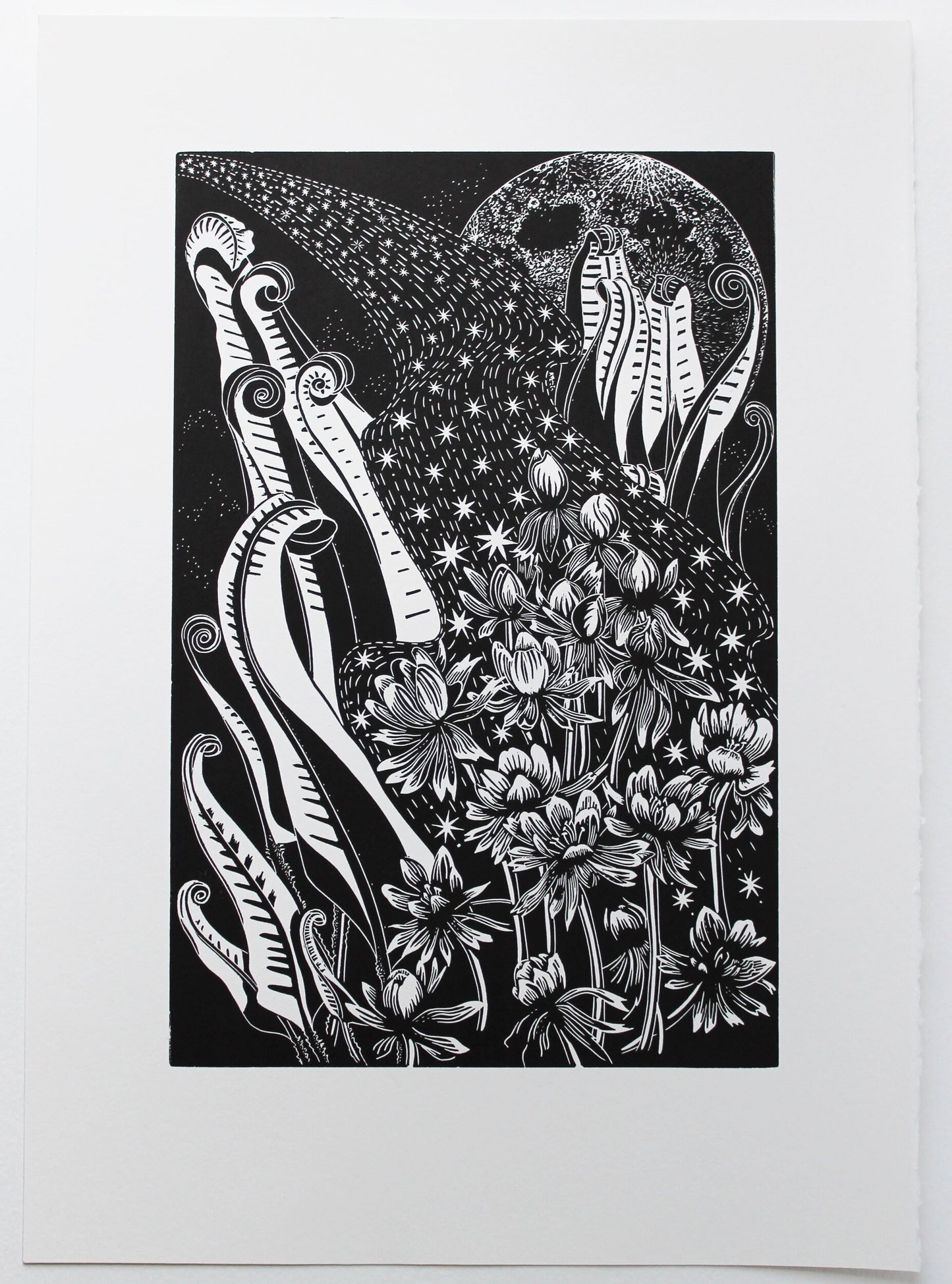 Anemones by Starlight limited edition linoprint