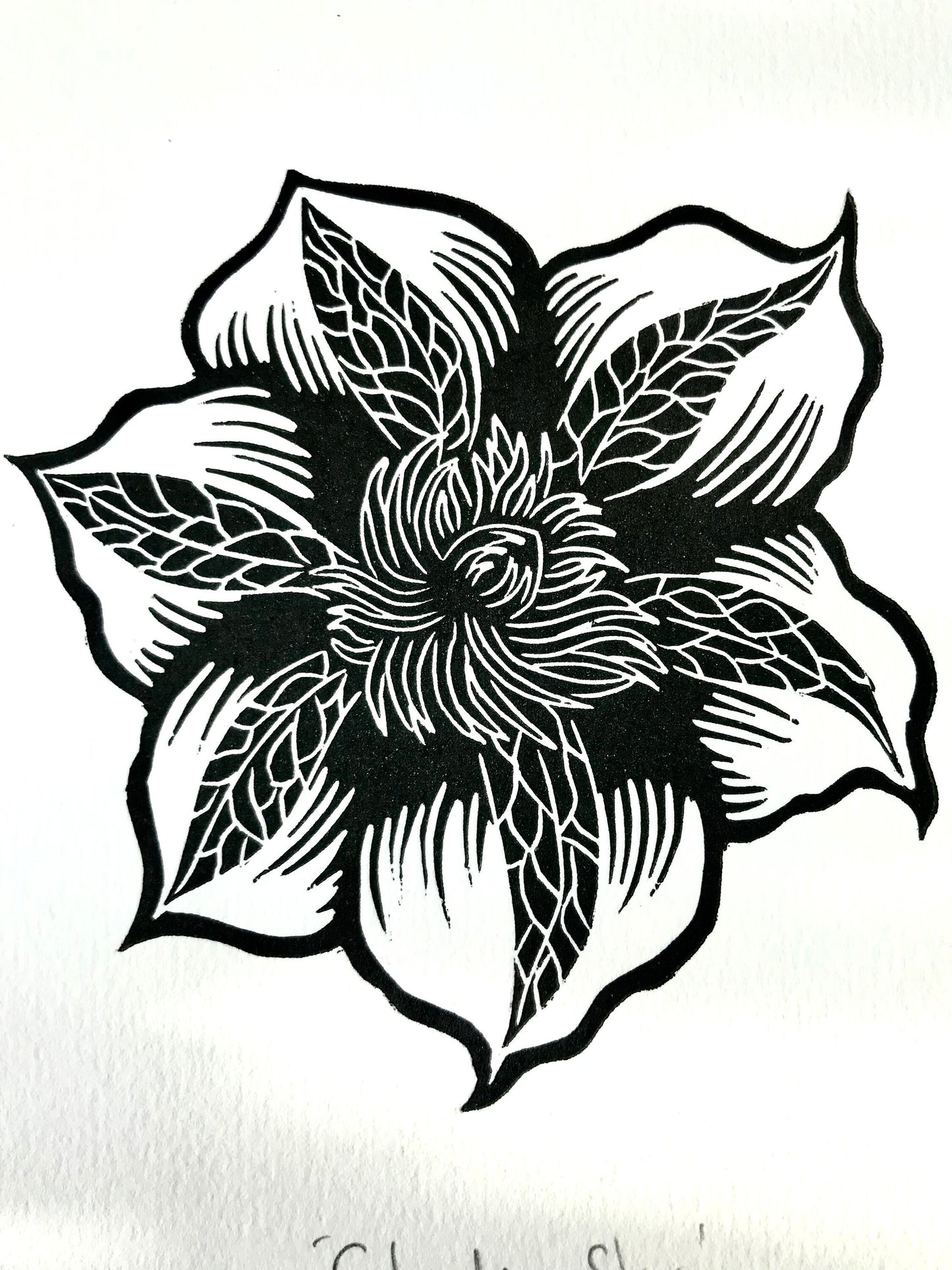 Clematis Star limited edition linoprint