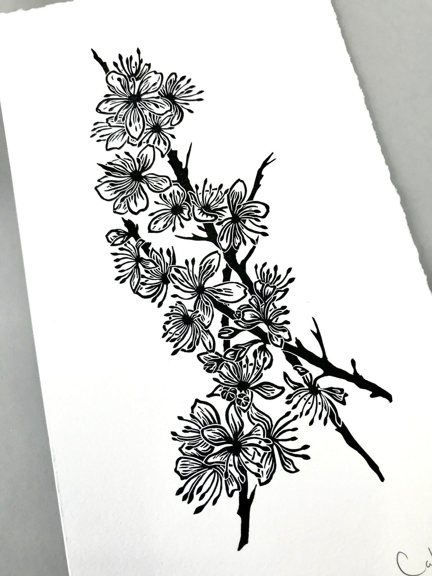 Blackthorn blossom linoprint