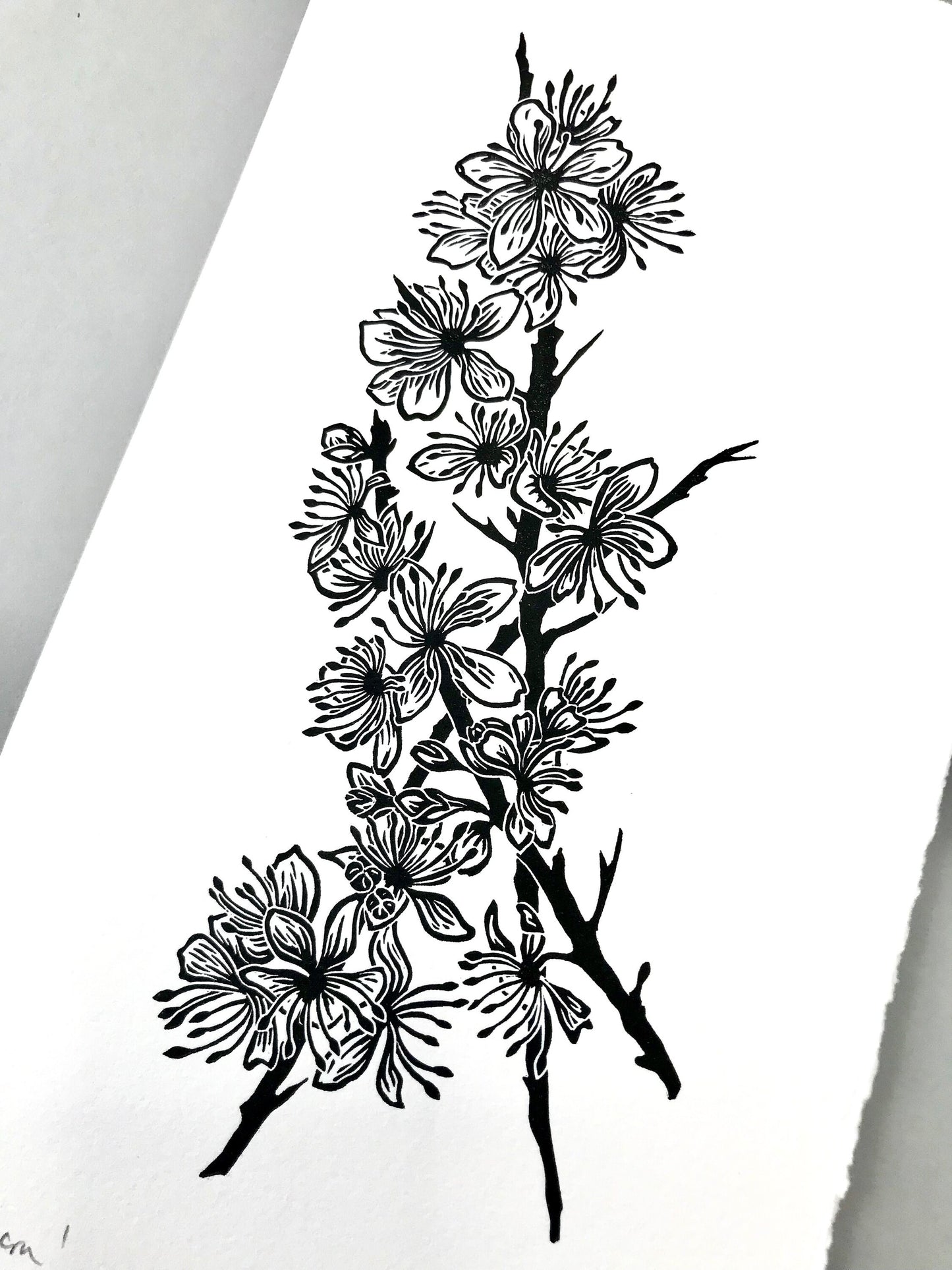 Blackthorn blossom linoprint