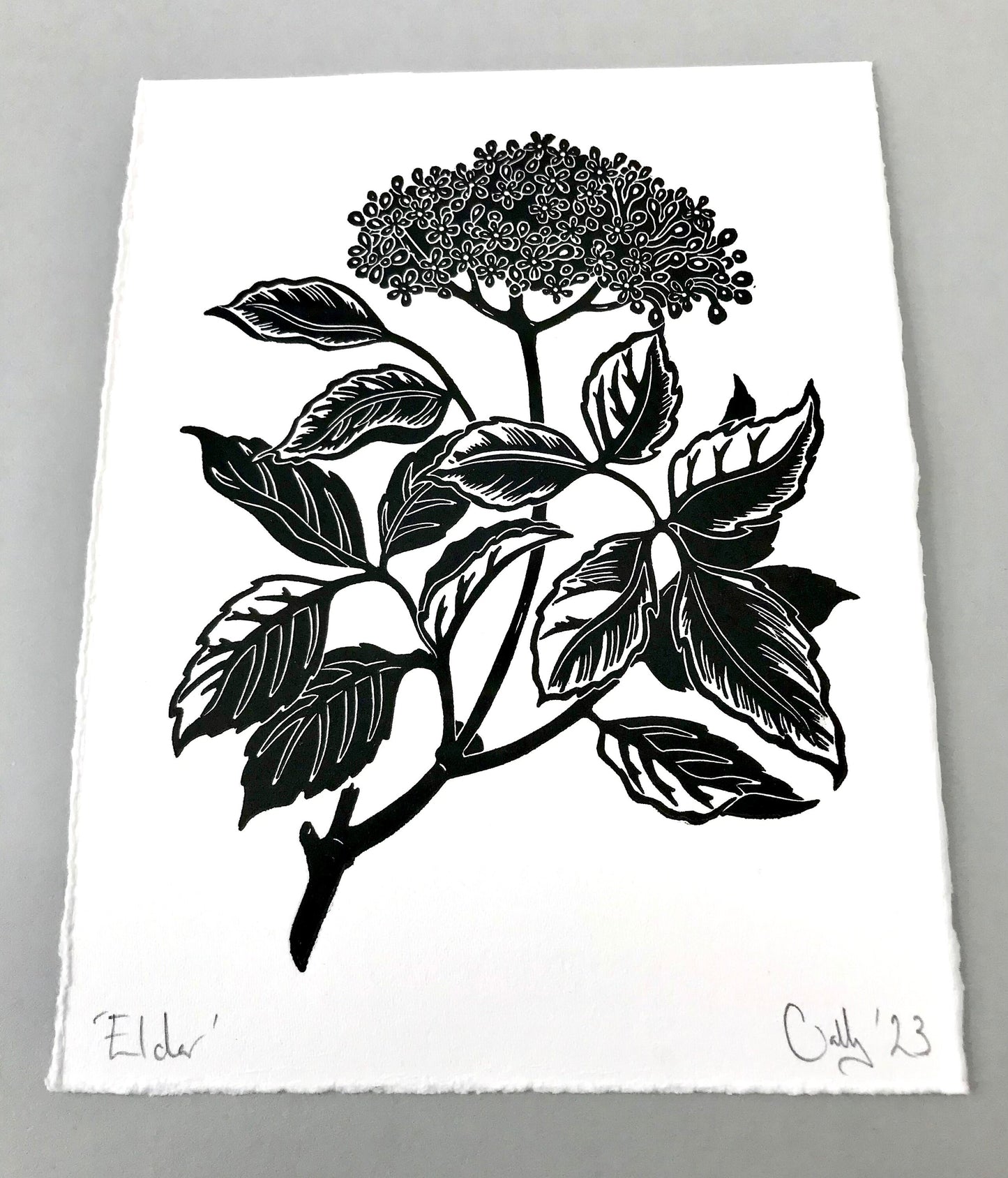 Elder flower blossom linoprint