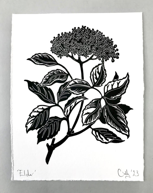 Elder flower blossom linoprint