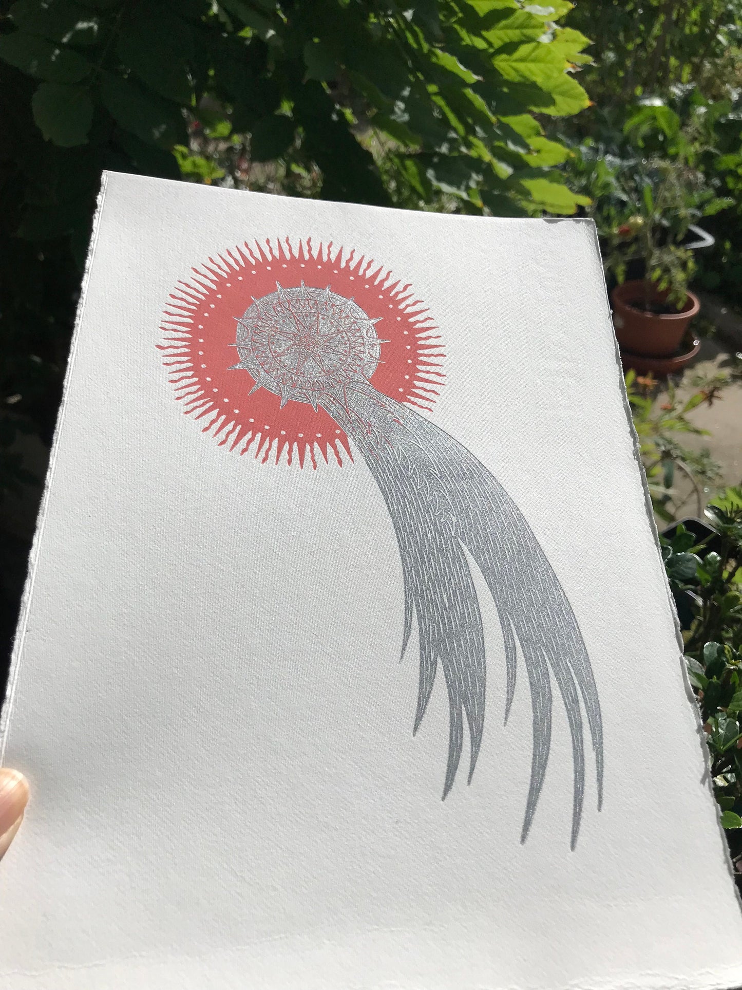 Comet linoprint