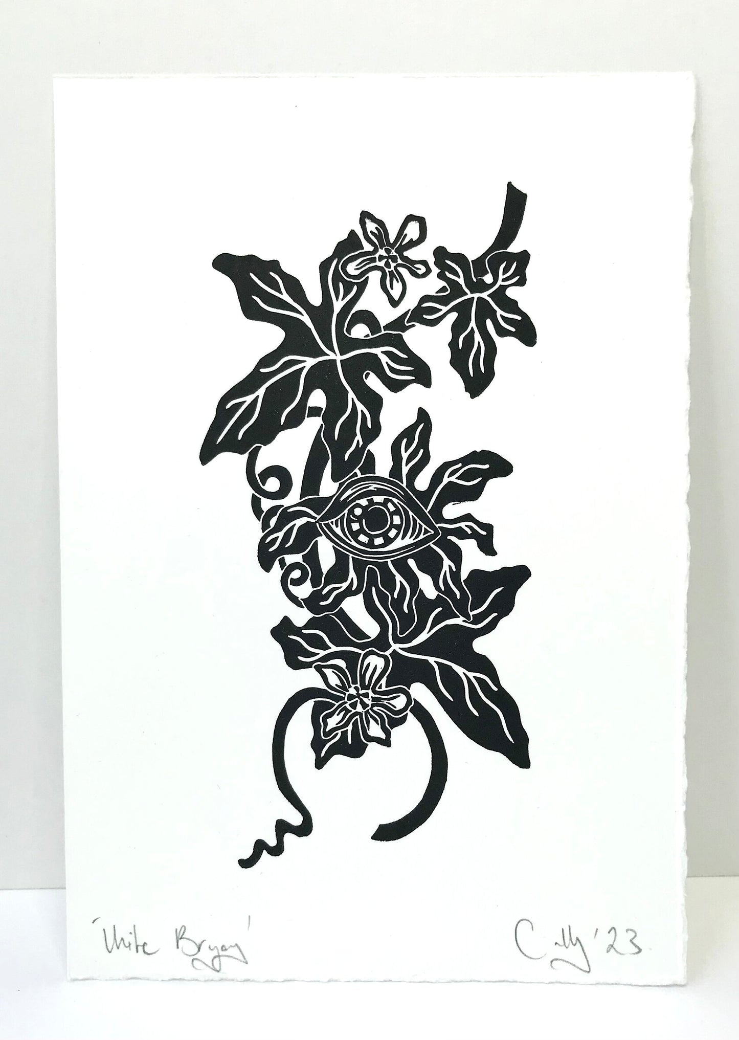 White Bryony wildflower linoprint