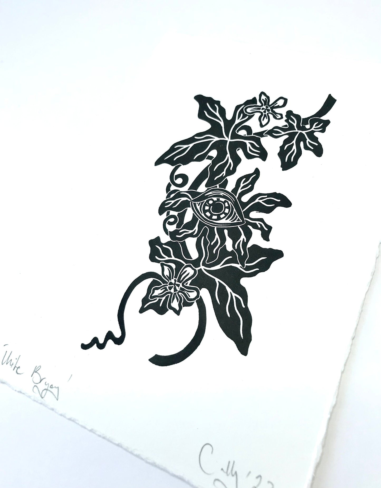 White Bryony wildflower linoprint