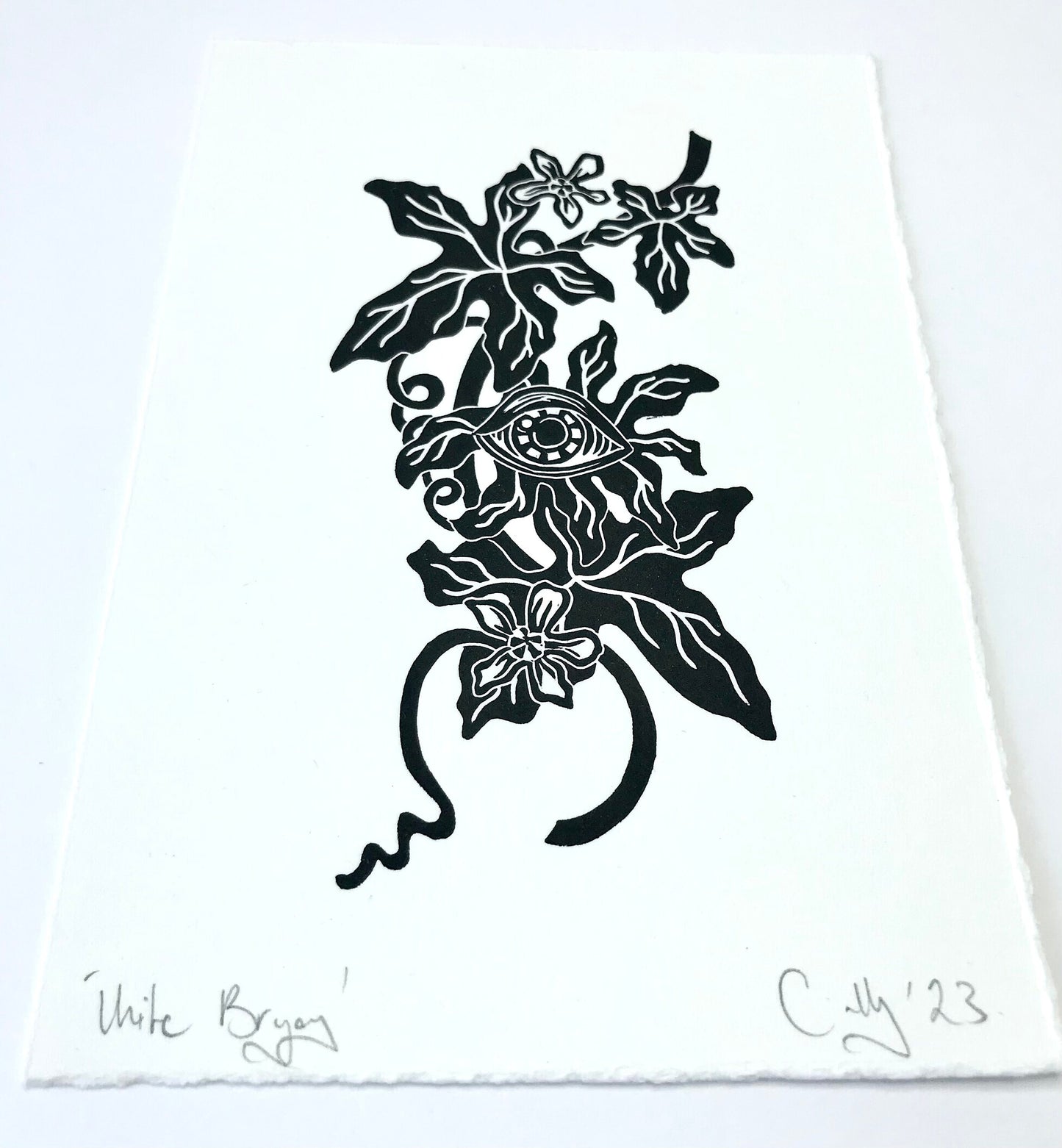 White Bryony wildflower linoprint