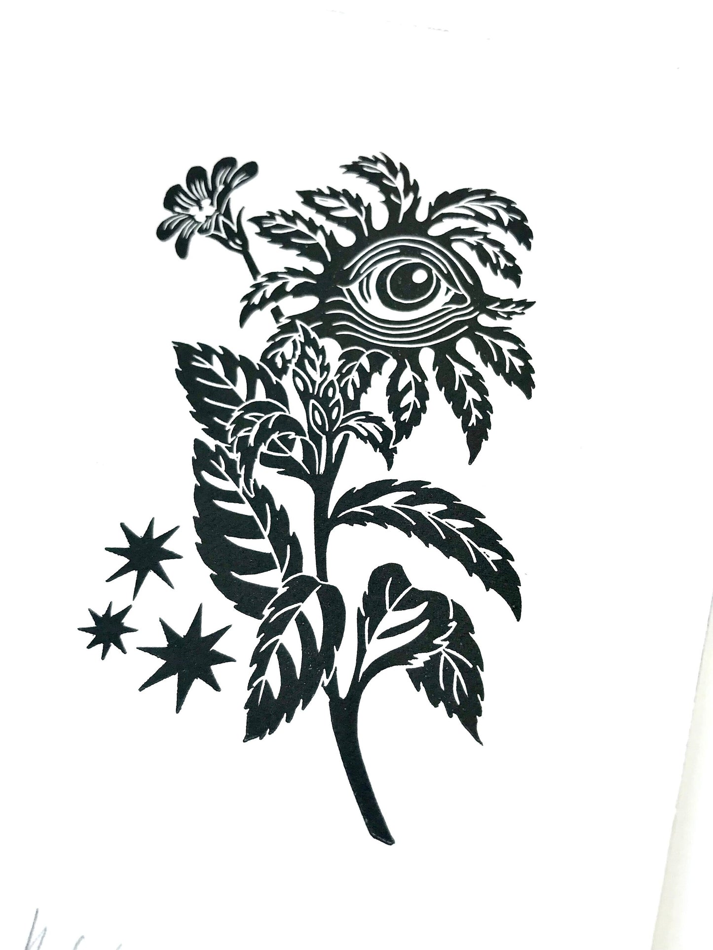 Great Willow Herb linoprint