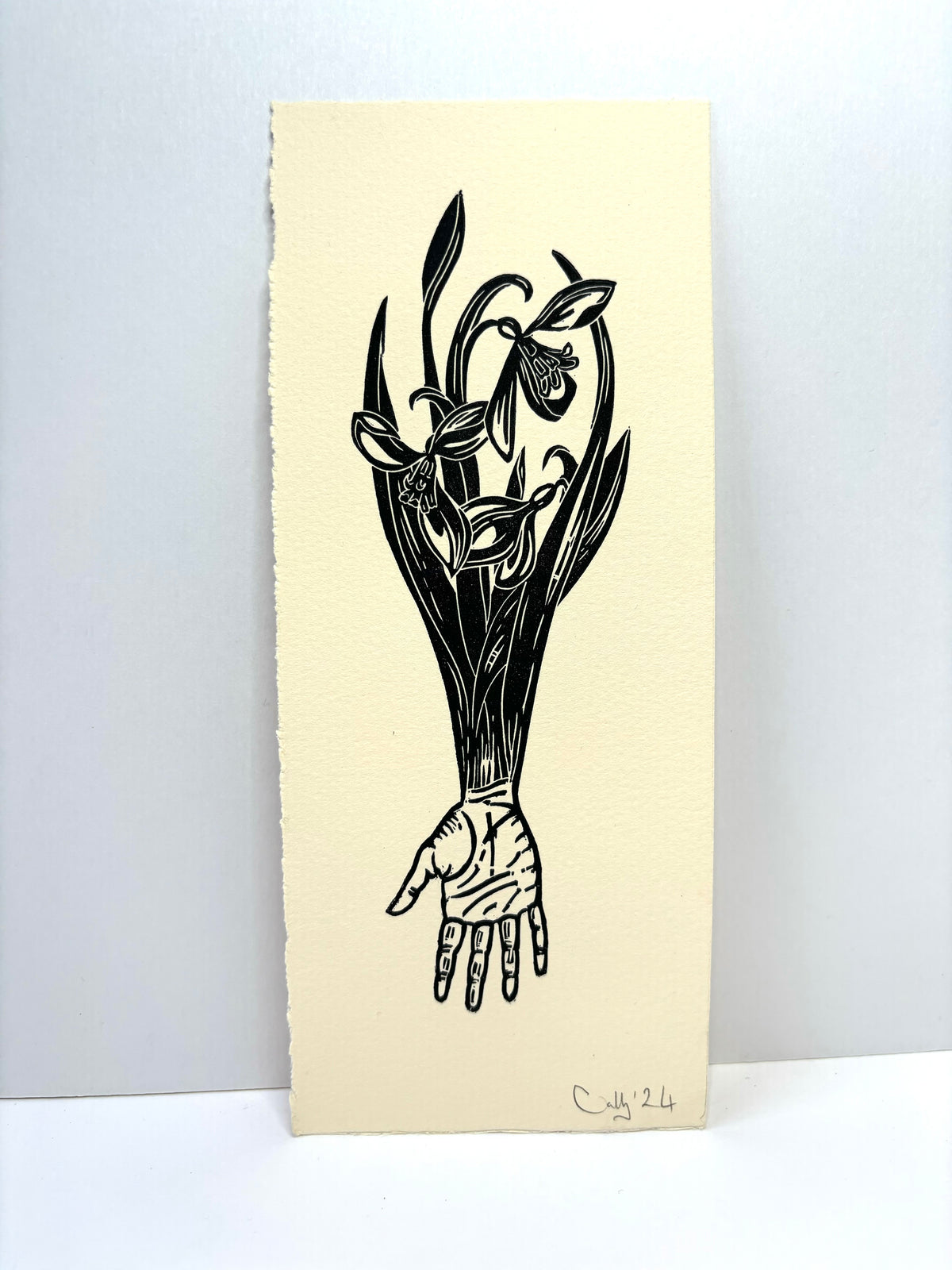 Super Seconds Festival listing: Galanthus linoprint.