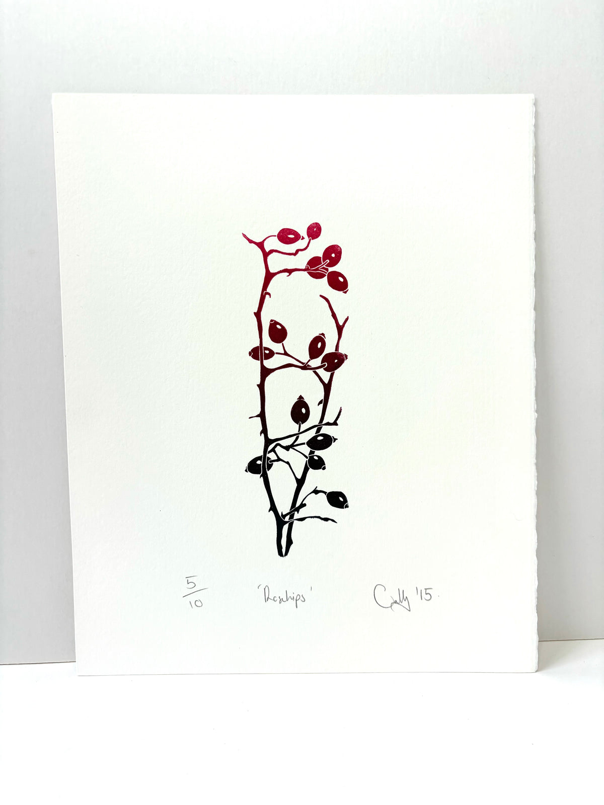 Super Seconds Festival listing: Rosehips limited edition linoprint