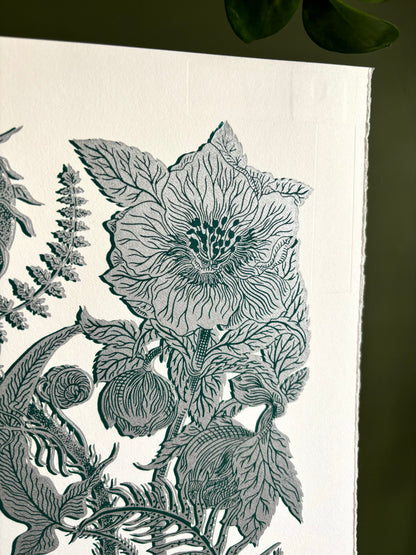 Super Seconds Festival listing: Wintering two colour linoprint