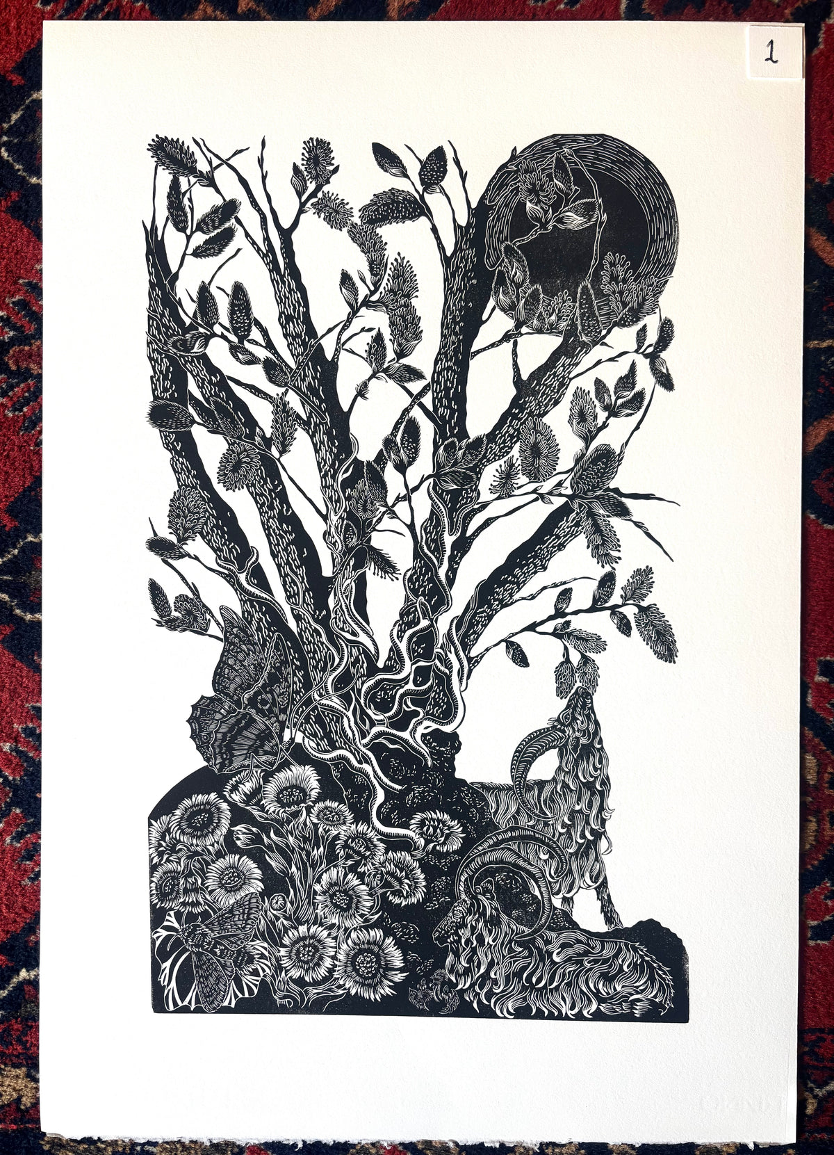 Super Seconds Festival listing: Salix Caprea No.1