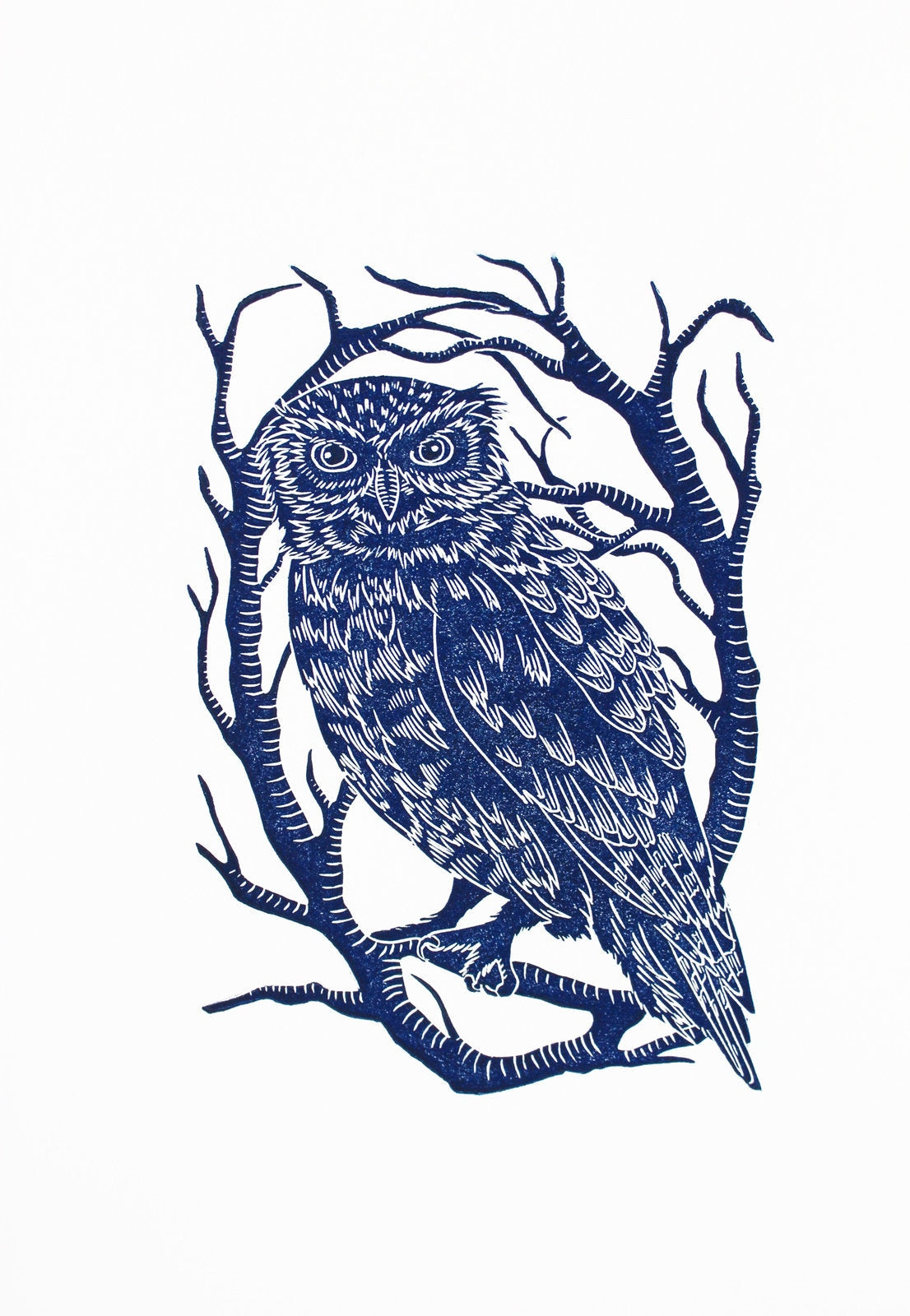 Little Owl linoprint