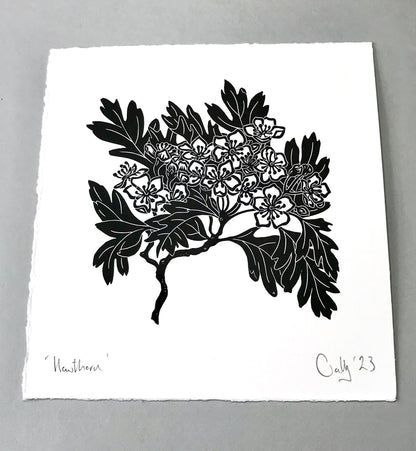 Hawthorn blossom linoprint