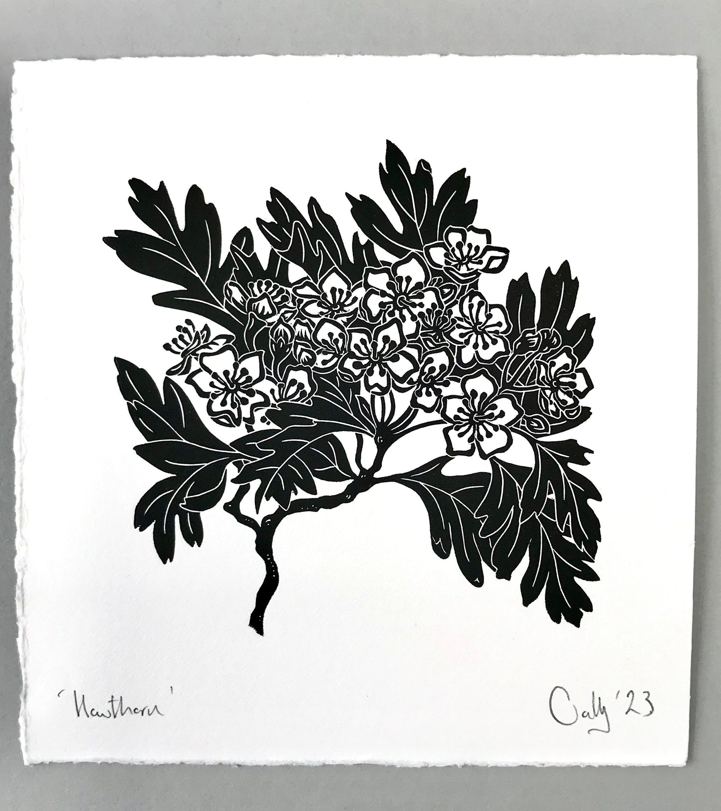 Hawthorn blossom linoprint