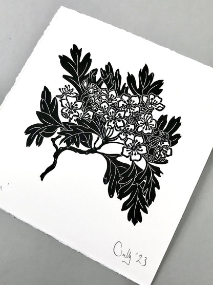 Hawthorn blossom linoprint